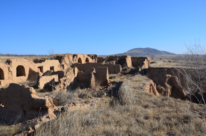 吃过“酸饭”的请举手