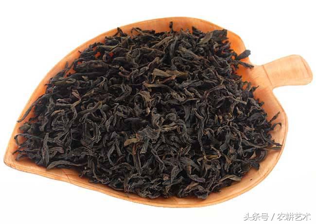 蓝花接骨草主治筋骨疼痛,风湿麻木,半身不遂,跌打损伤