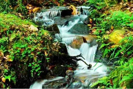 湖北最美二十个景点推荐,湖北哪个风景区最好玩