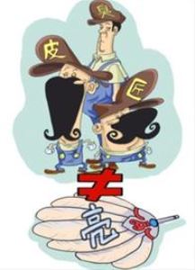 诸葛亮和臭皮匠动画,诸葛亮与臭皮匠的区别