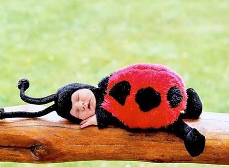 宝宝长牙齿胃口不好怎么办,宝宝长乳牙厌奶