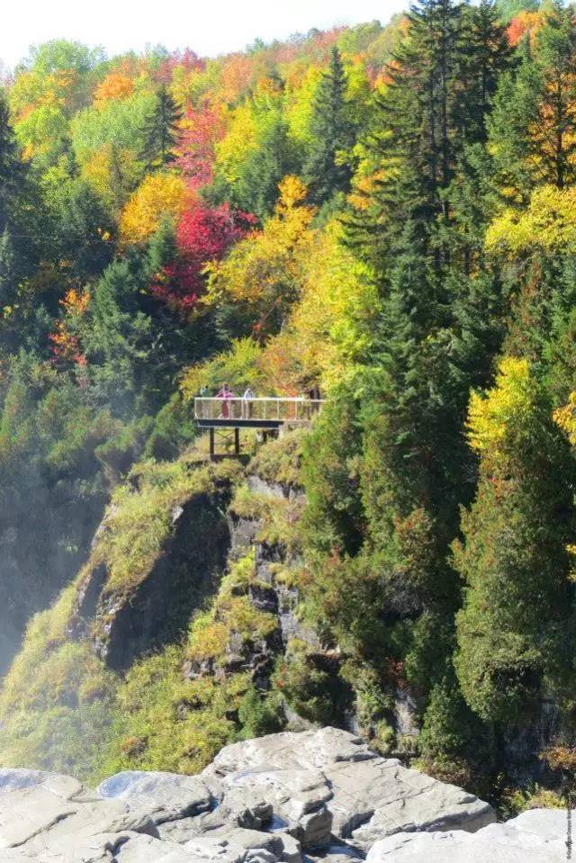 枫叶旅游拍照技巧,春季赏枫叶拍照技巧