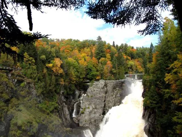 枫叶旅游拍照技巧,春季赏枫叶拍照技巧