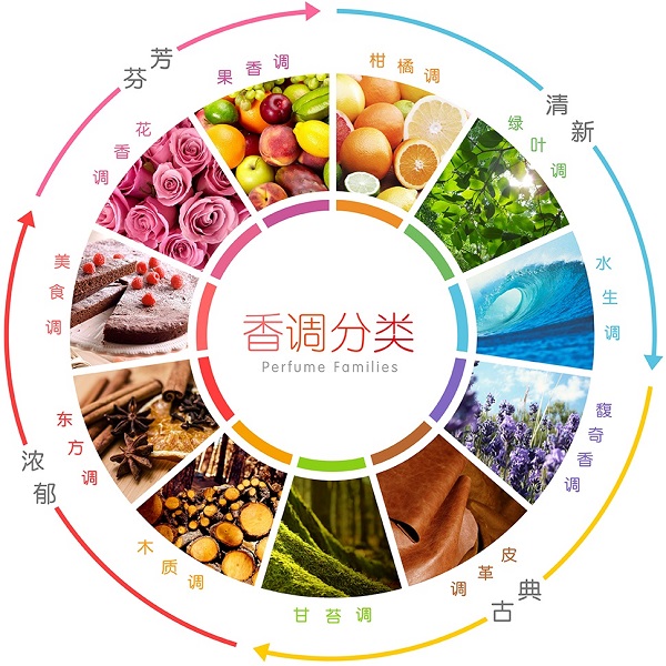 从零开始入门到精通的知识,入门基础知识从零开始