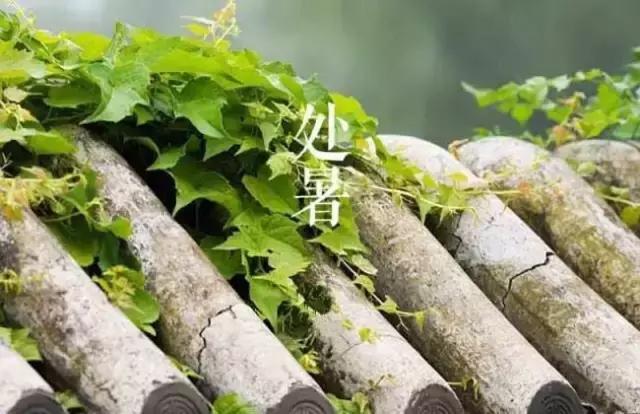 夏未央秋渐凉处暑,处暑夏未央秋意渐浓天渐凉