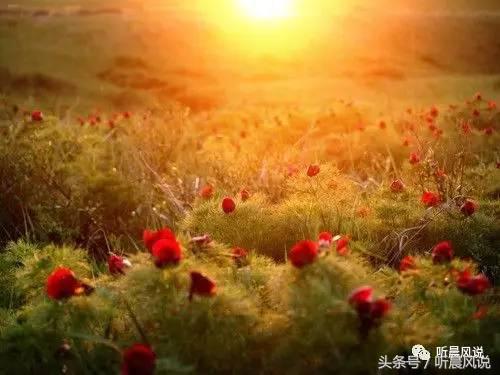 音频爱情故事,情感音乐与精彩故事