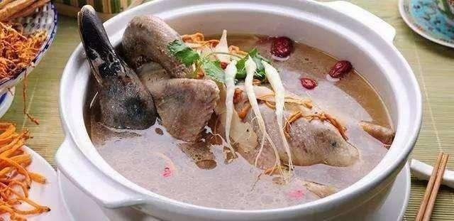 二十四节气处暑已至秋意渐浓,节气之歌二十四节气处暑