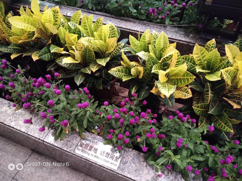 2020年的魅蓝note6好吗,魅蓝note6缺点曝光