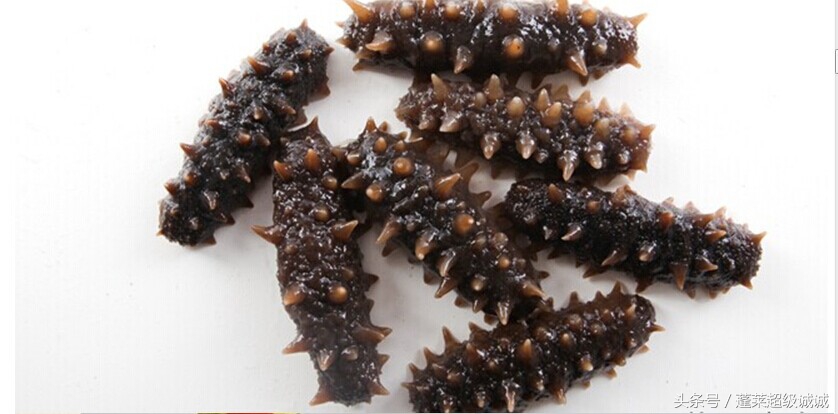 孕妇怎样吃海参营养最好,海参怎么吃好吃又营养