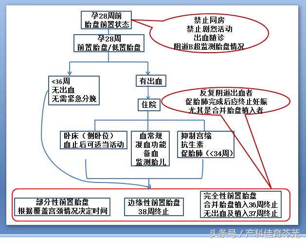 胎盘位置解析,胎盘位置由什么决定