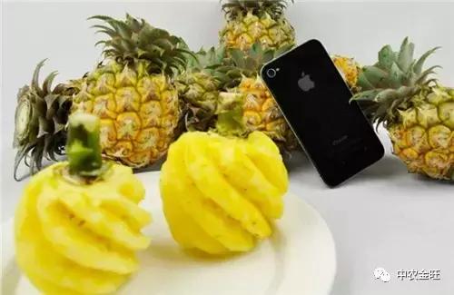 迷你农业怎么做,网红迷你农业怎么玩