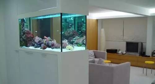 家里摆鱼缸数量有什么讲究,属马属蛇的家里怎么摆鱼缸