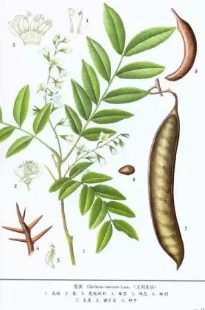 古代官员洗澡的假期叫什么,古代官员放假洗澡