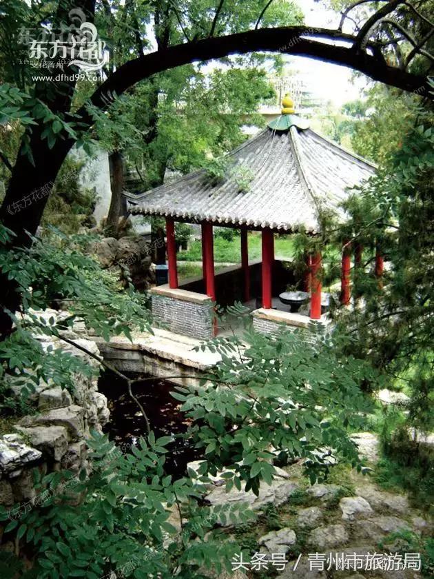 青州偶园诗词,青州偶园简介