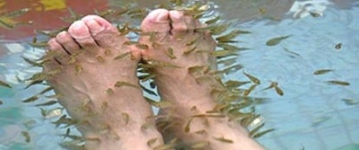 世界最奇葩的美容方法排名,国外奇葩美容产品