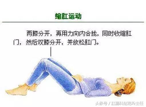 龙爪菊治痔疮正确用法,菊花好处和做法有哪些