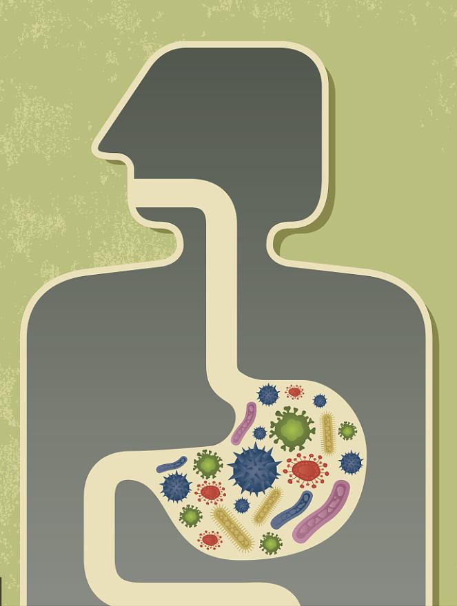骨科常用药健康科普,中医骨科科普健康知识