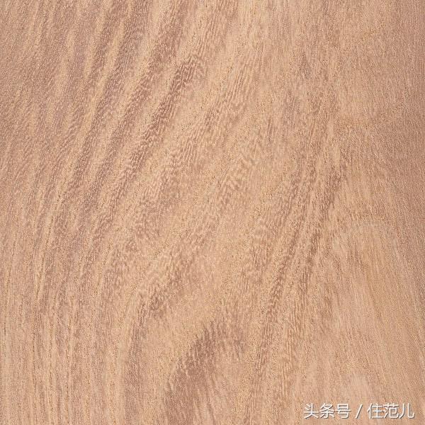 绿色家居材料,家装生态材料