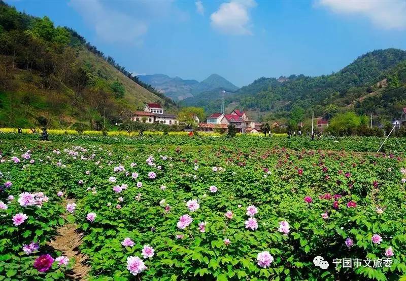 原来宁国是这样被创造的？！传说是老天爷不小心的杰作！