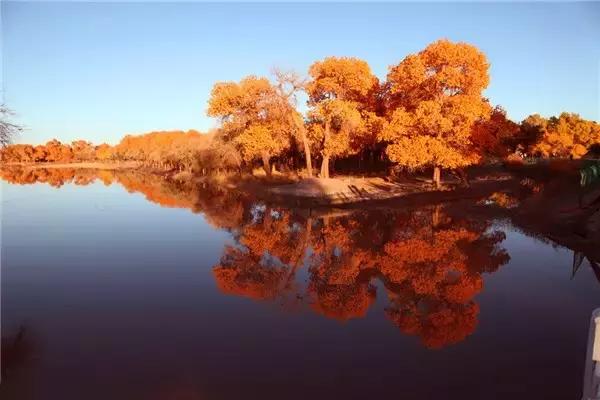 三千年的情缘，三千年的企盼只为这一季的金秋（附攻略）