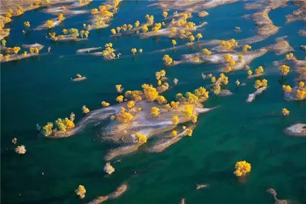 三千年的情缘，三千年的企盼只为这一季的金秋（附攻略）