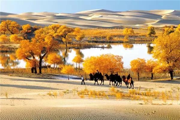 三千年的情缘，三千年的企盼只为这一季的金秋（附攻略）