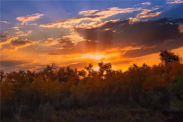三千年的情缘，三千年的企盼只为这一季的金秋（附攻略）