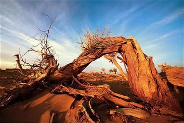 三千年的情缘，三千年的企盼只为这一季的金秋（附攻略）