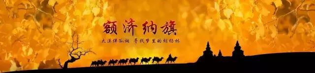 三千年的情缘，三千年的企盼只为这一季的金秋（附攻略）