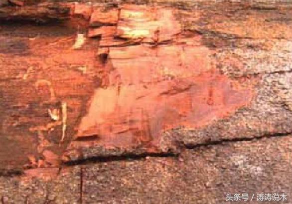 识木料,识木头后续