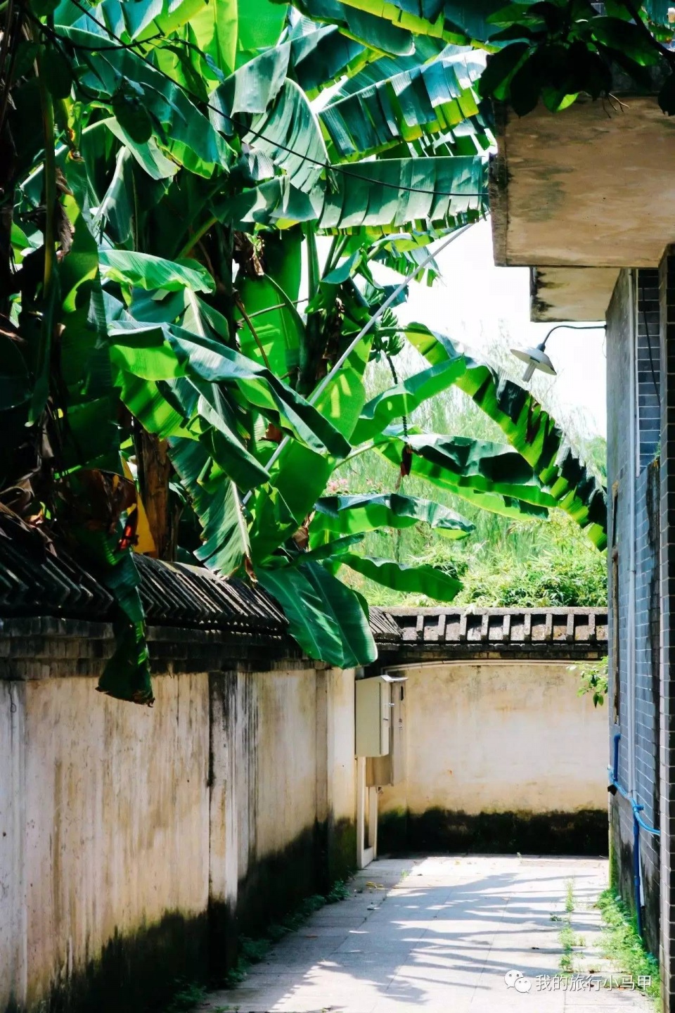 珠海长隆野生动物园旅游攻略,广州长隆自驾游旅游攻略