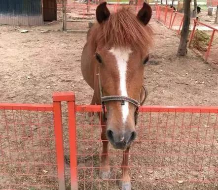 开心农场有啥玩的镇江,镇江农庄旅游好去处