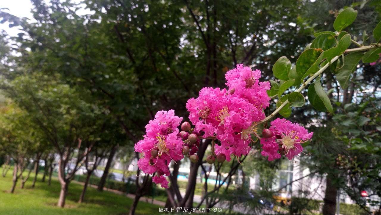 华硕飞马3,华硕飞马4a屏幕