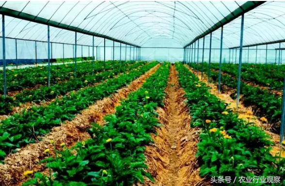 如何实现企业的高收益,如何实现公司价值最大化目标