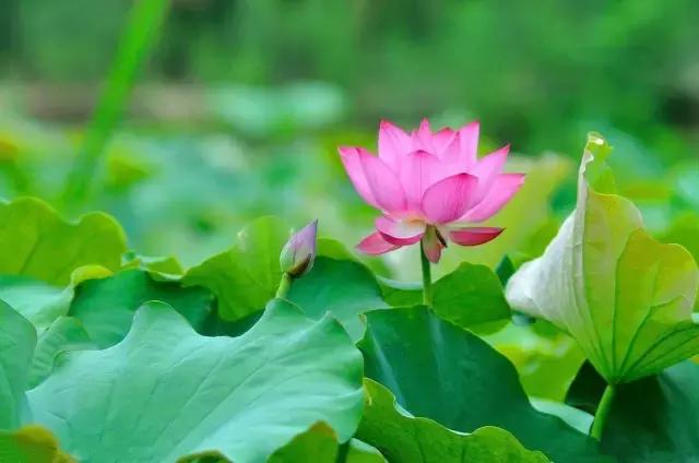 和龙夏天避暑的地方,龙州县避暑胜地