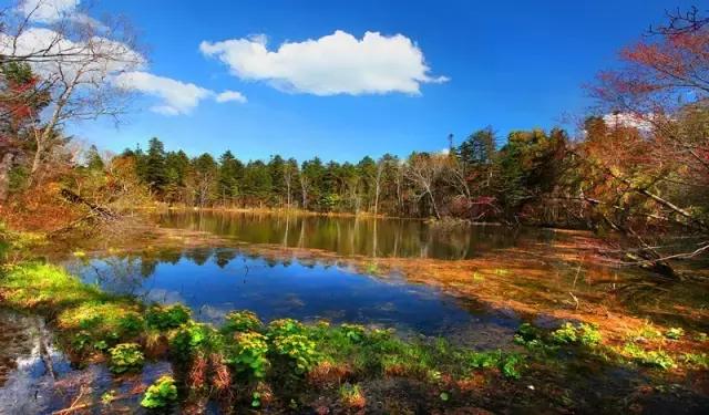 和龙夏天避暑的地方,龙州县避暑胜地
