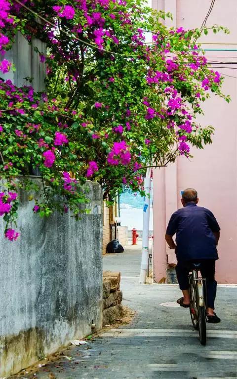 媲美鼓浪屿！深圳竟藏着一个文艺拍照圣地，海滨花火刷爆朋友圈！