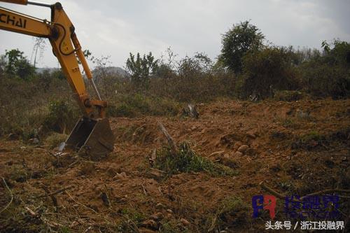 中药材的“明星”,小小白芨缘何受到市场热捧?|投融界专访曾新