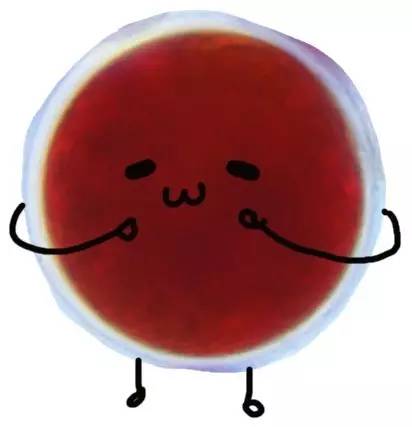 含有虾青素的狗粮幼犬,适合贵宾补钙的狗粮