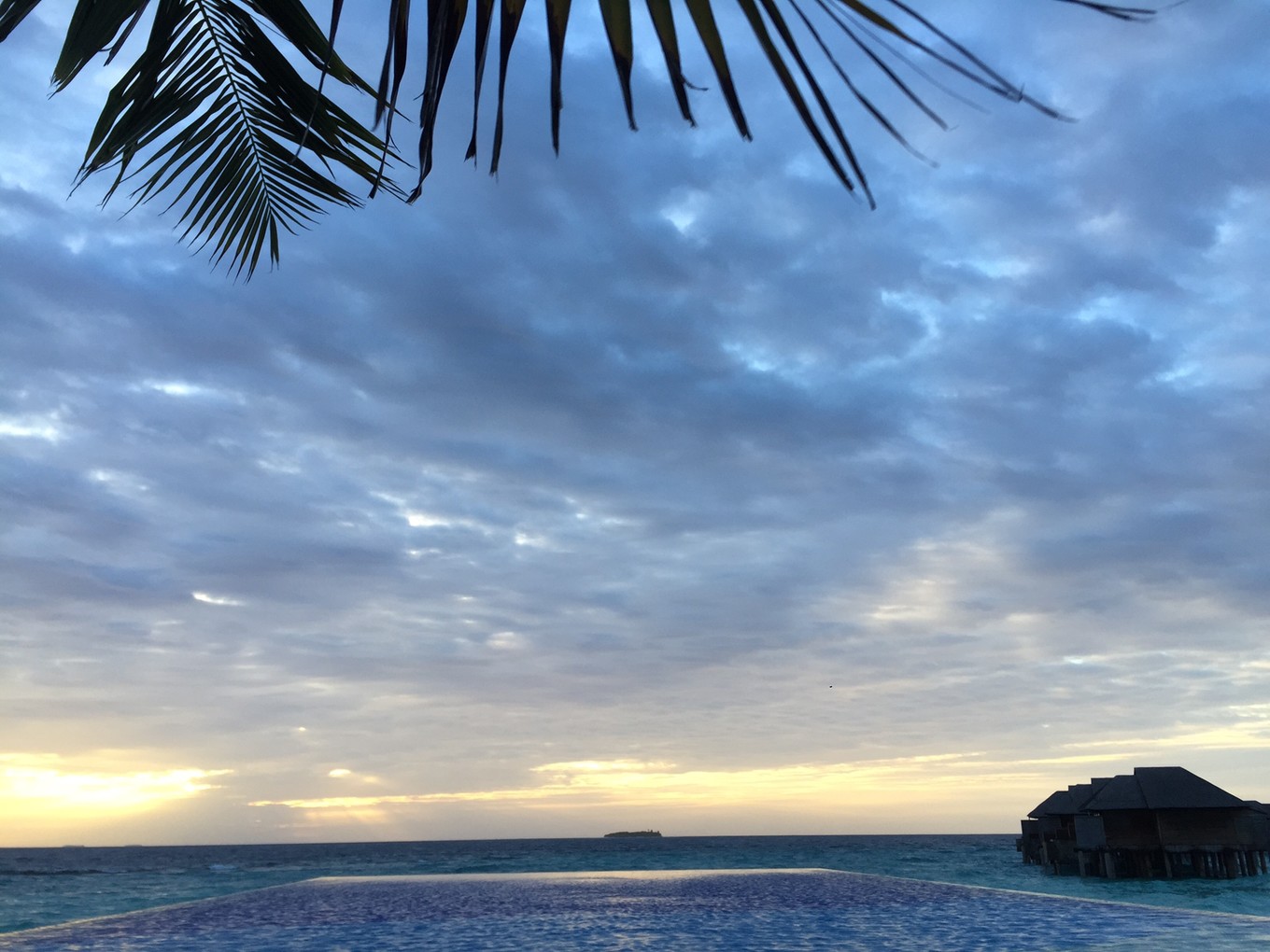 马尔代夫来北京,马尔代夫来三里屯