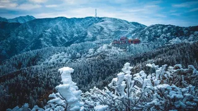 阅图是什么,阅图是什么意思