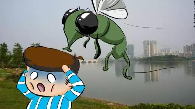 古天乐这六战神是怎么打上去的,古天乐四大毒虫