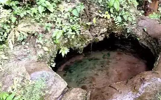 四川长宁竹海与赤水竹海,竹海风景区沐川