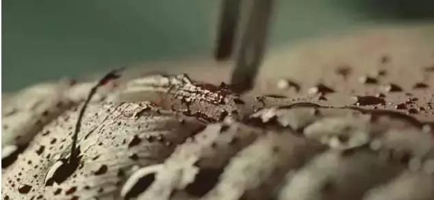 比较血腥的国产电影,国产最黑暗的电影