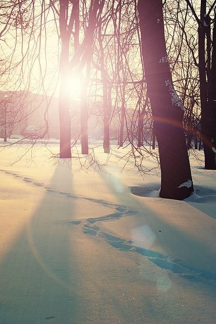 我对女生有偏见怎么办,我对女生有点厌恶感怎么办