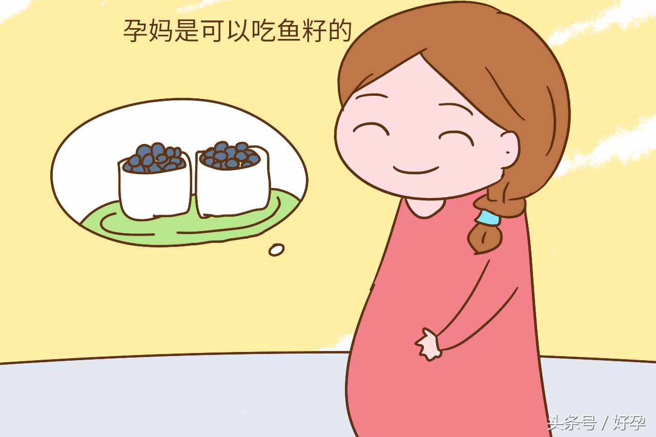 鱼肚里的各种食物,孕妇必备的鱼肚