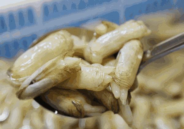 大连十大海鲜饭店排行,来大连必打卡的海鲜店