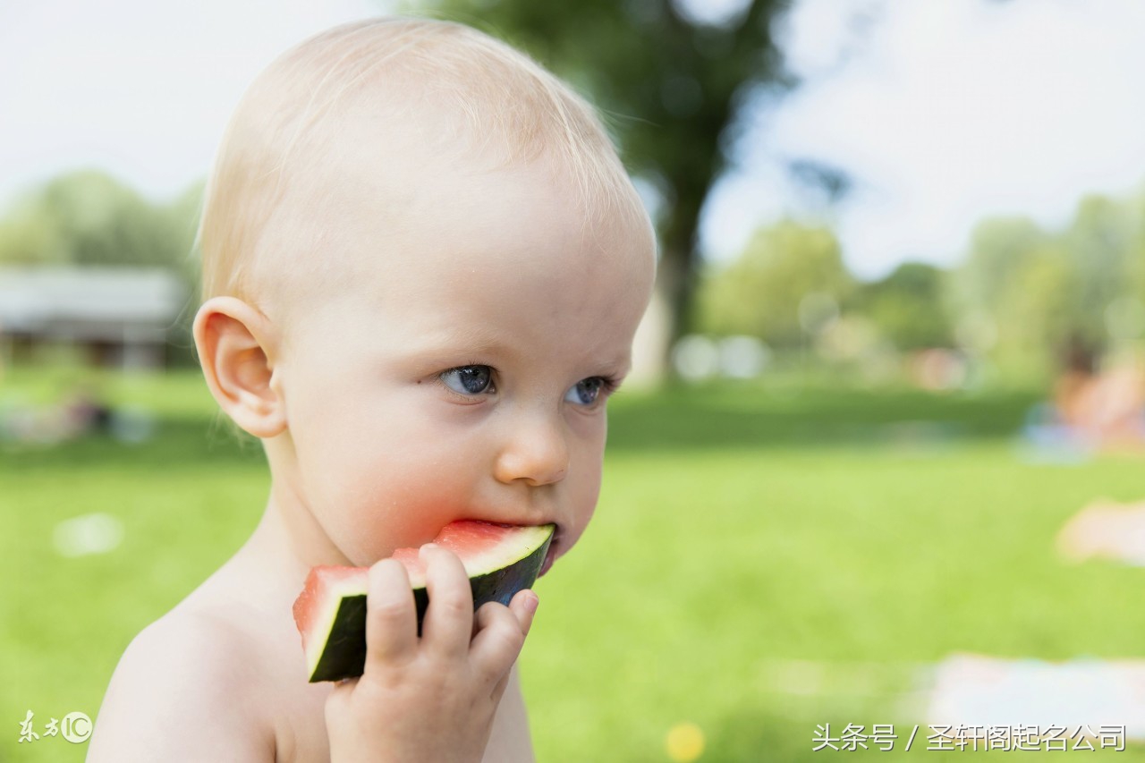 张姓鸡年女孩名字大全,鸡年姓田女孩洋气名字大全
