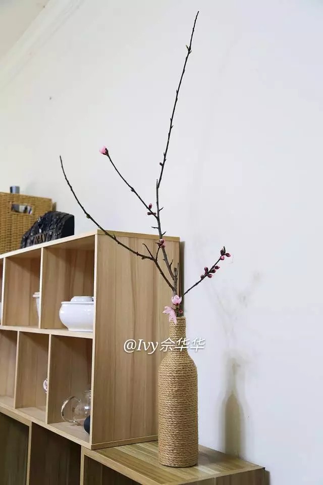 不要的玻璃瓶与麻绳制作复古花瓶,设计废弃塑料瓶变身趣味家居摆件