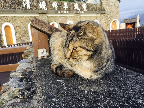 台湾台中，一个想让人呆一辈子的地方
